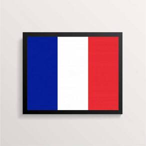 Quadro Decorativo Bandeira França 45X34Cm
