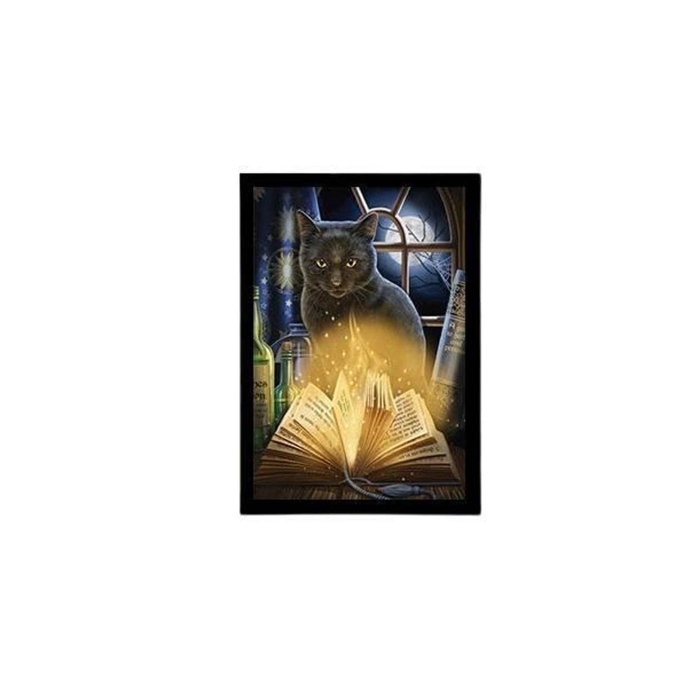 Quadro Gato Bruxo Livro 33X24Cm - Vidro Moldura Preta