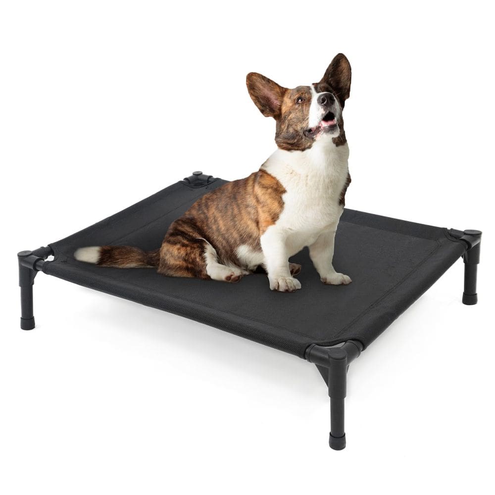 Cama elevada para cães Garnpet para cães médios de até 68 kg, preta