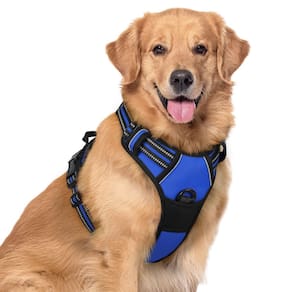 Dog Harness rabbitgoo No Pull Reflective Oxford para cães grandes