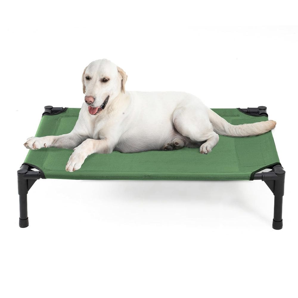 Cama elevada para cães Garnpet Heavy Duty para cães grandes, verde