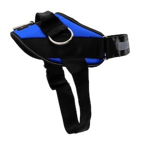 Arnês para cães ShawnCo Essential Electric Blue Reflective XL