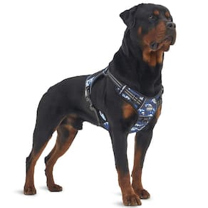 Arnês de treinamento para cães AUROTH Tactical No Pull Reflective Blue Camo