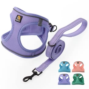 Conjunto de arnês para cães BELLA & PAL Puppy Air Mesh com coleira Lavender M