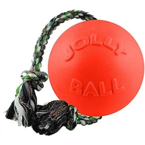 Brinquedo para cães Jolly Pets Romp-n-Roll Orange para cães médios