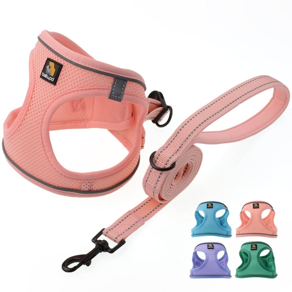 Conjunto de arnês para cães BELLA & PAL Puppy para cães pequenos, rosa