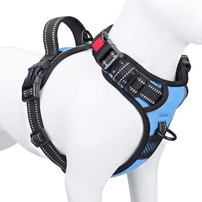 Colete ajustável reflexivo PHOEPET para cães Baby Blue S