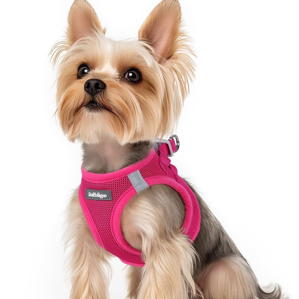 Colete Dog Harness Rabbitgoo Step-in Soft Mesh Puppy XS