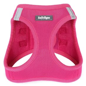 Colete Dog Harness rabbitgoo Small Step-in Soft Mesh para cachorros