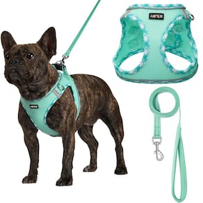 Conjunto de arnês para cães AMTOR Small com coleira para treinar e caminhar