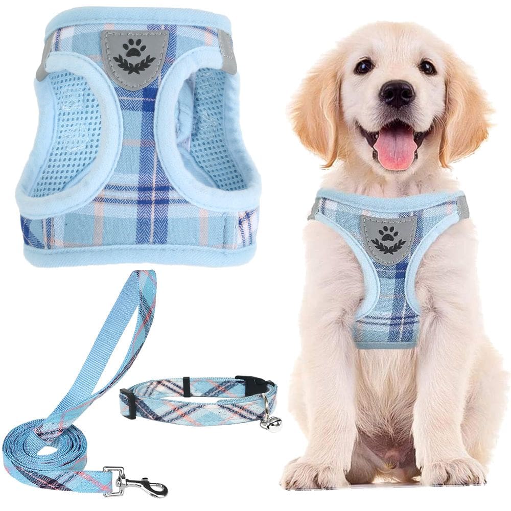 Conjunto de coleira e coleira para animais de estimação PUPTECK ajustável azul M