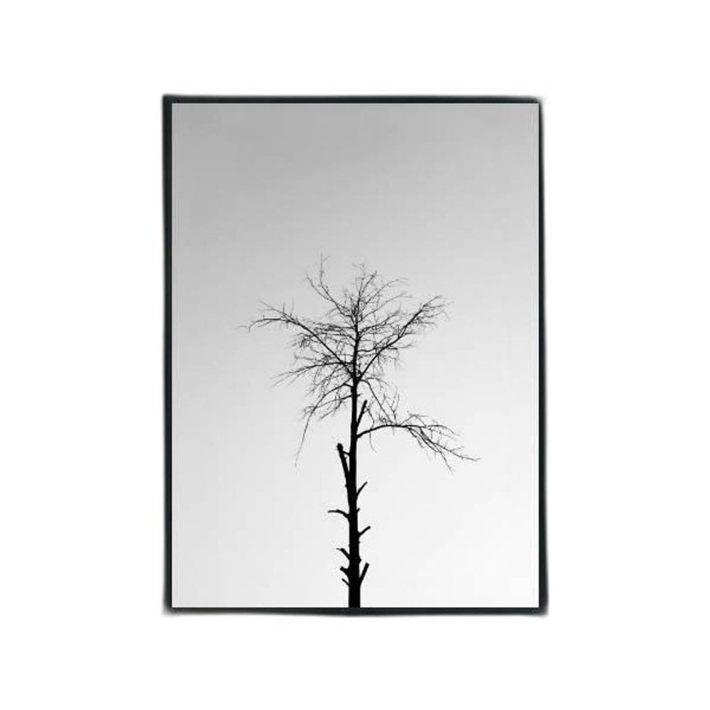 Quadro Fotografia Árvore Seca 33X24Cm - Vidro Moldura Preta