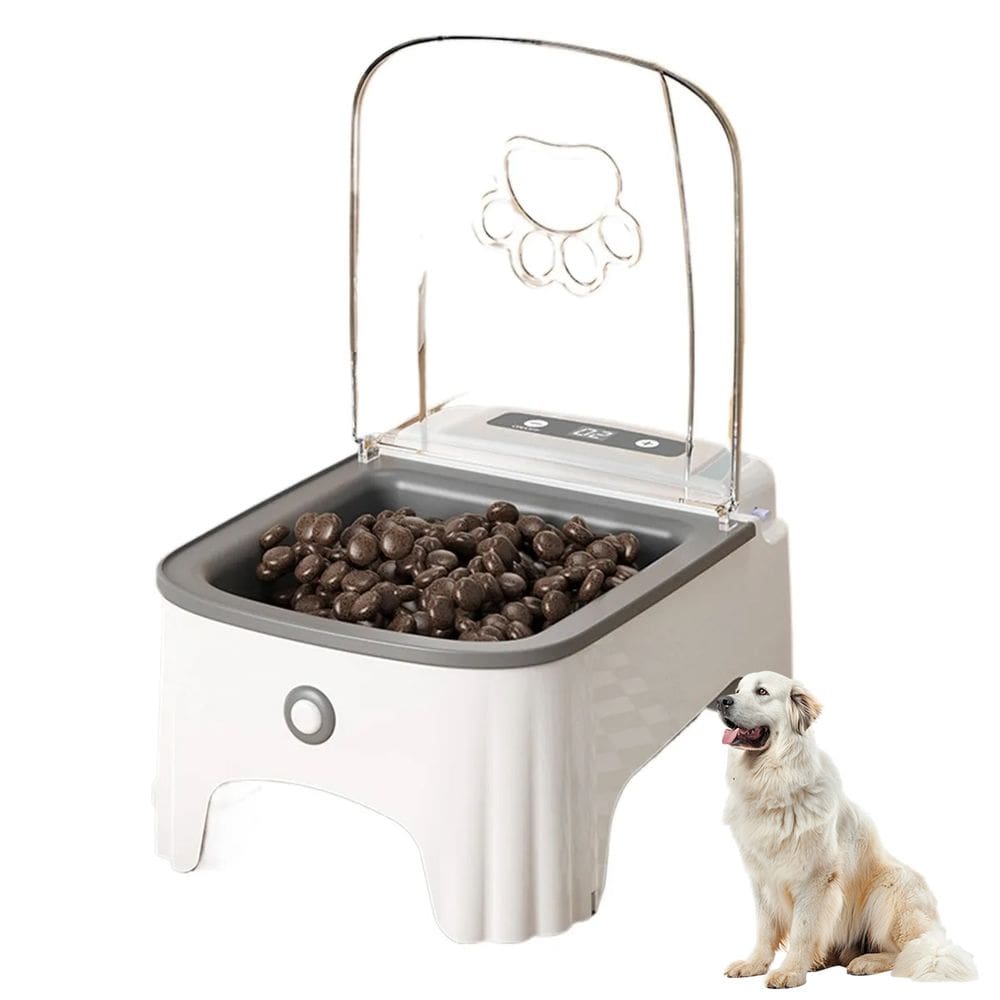 Comedouro Automatico Pet Gato Cao Cachorro Raçao Comida Sensor Movimento Presença Temporizador Programavel Animal de Estimaçao Resistente Seguro