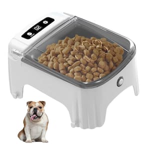 Comedouro Automatico Cao Pet Gato Cachorro Raçao Petisco Sensor de Presença Movimento Animal de Estimaçao Temporizador Programavel Alimentaçao