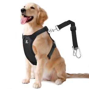 Cinto de segurança para cães Colete de segurança VavoPaw, arnês de carro, nylon, preto, XL