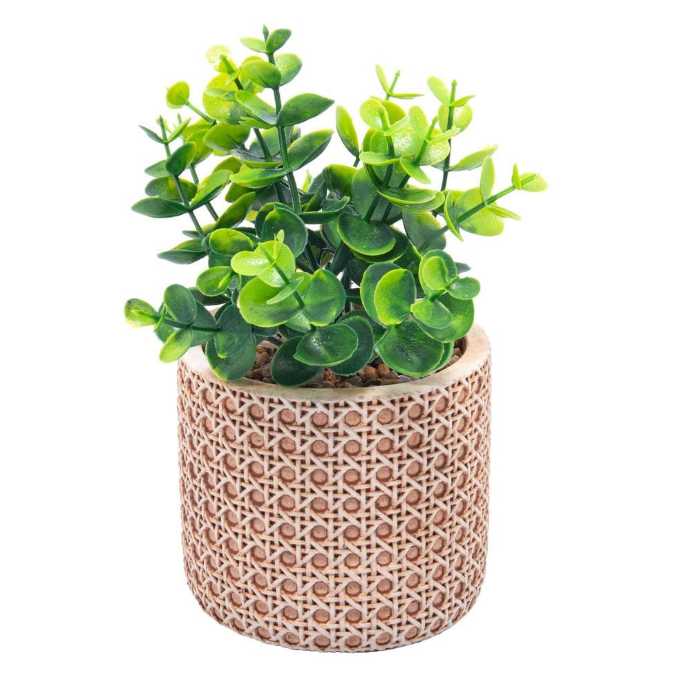 Cachepot Cerâmica Com Suculenta Treliça Wolff 18Cm