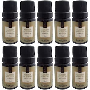 Kit 10 Essências De Aromatizador Via Aroma Aromaterapia 10ml