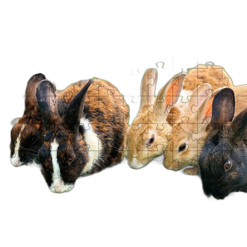 Quebra-Cabeça Inclusivo 300 Peças Coelhos Que Encantam E