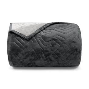 Cobertor Buettner Queen Flannel Plush 100% Poliéster Dupla Face 240mx260m Metal Escuro / Metal Claro