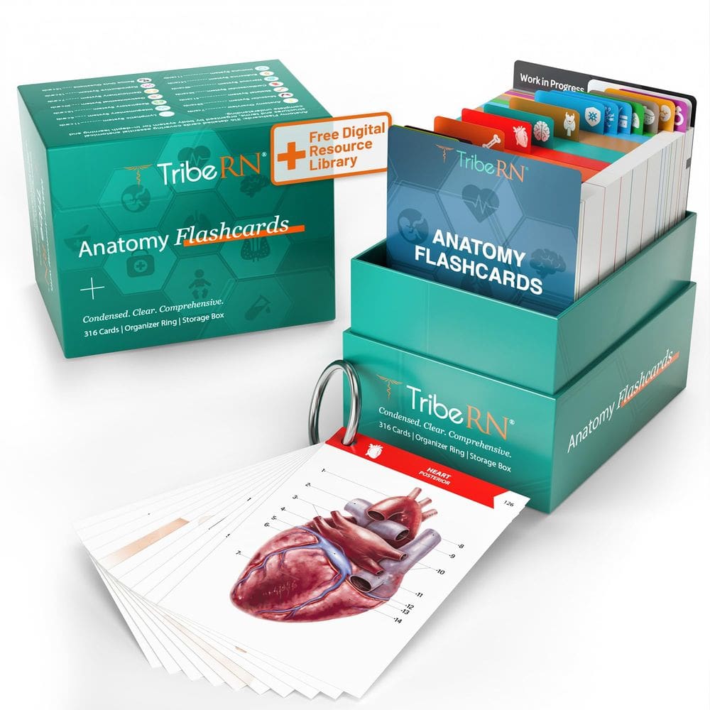Flash Cards TriBern Anatomy and Physiology 320 Study