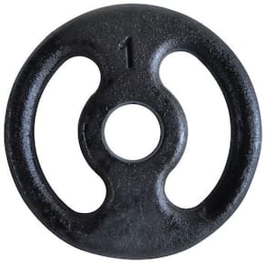Anilha Fitness Ferro Pintada Academia Musculação Treino 1Kg