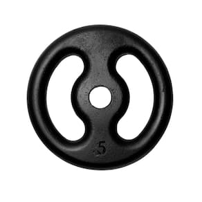 Anilha Fitness Ferro Pintada Academia Musculação Treino 5Kg