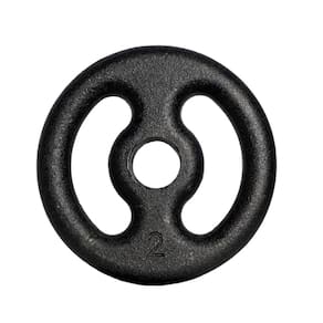 Anilha Fitness Ferro Pintada Academia Musculação Treino 2Kg