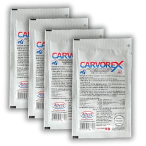 Carvorex | Carvão Vegetal | Absorção De Toxinas - Kit 4un