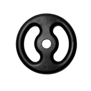 Anilha Fitness Ferro Pintada Academia Musculação Treino 3Kg