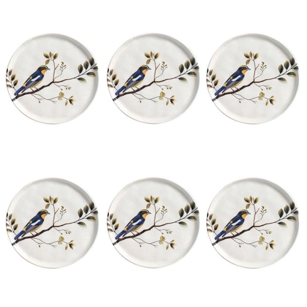 Conjunto De Pratos De Sobremesa 06 Peças Bio Birdy Porto