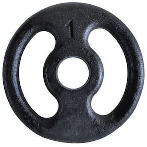 Anilha Fitness Ferro Pintada Academia Musculação Treino 1Kg
