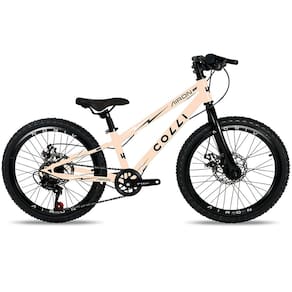 Bicicleta Colli Airon Aro 20 7 Marchas Freios a Disco