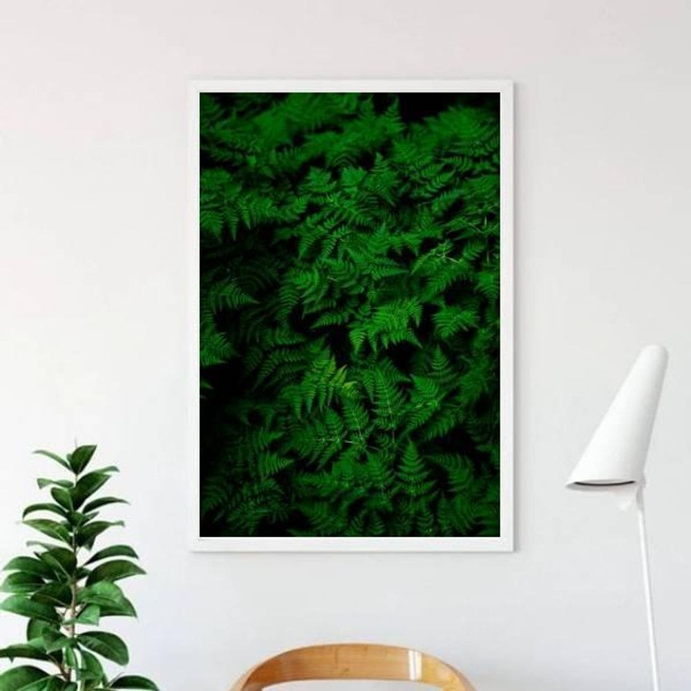 Quadro Fotografia Samambaias 33X24Cm - Moldura Branca