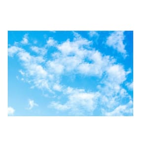 Fundo Fotográfico Nuvens Céu 2,2X1,5 Fff-626