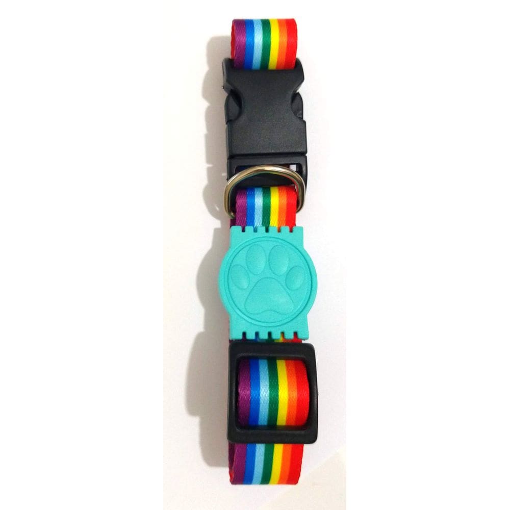 Coleira Seda 25mm arco iris Tamanho Único 32cm49cm