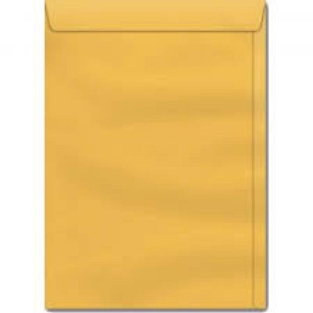 Envelope Saco 310X410 80Gr Com 10 Kraft Ouro Ko 41 - Sko141