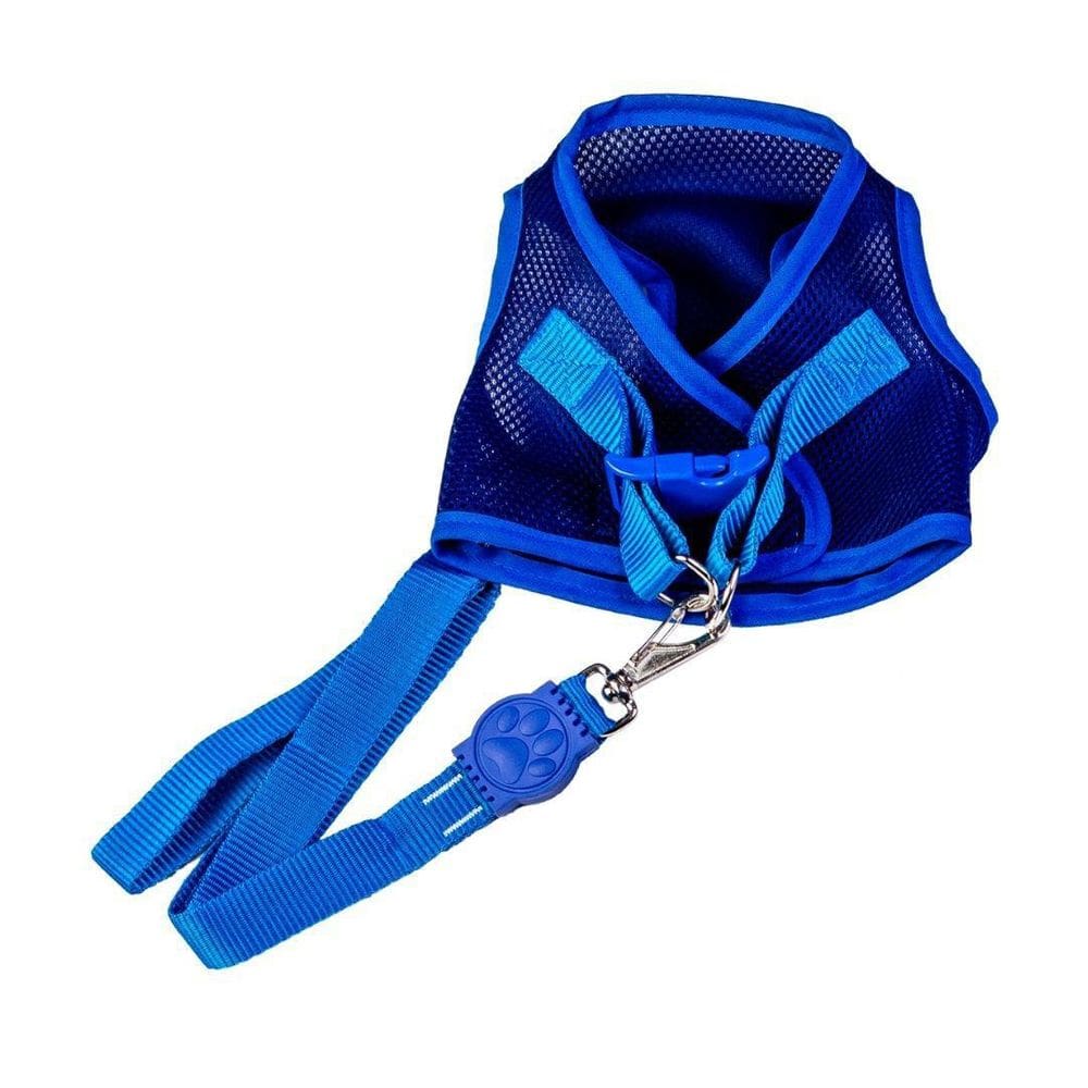 Coleira e Peitoral Ajustável Azul - Tamanho P