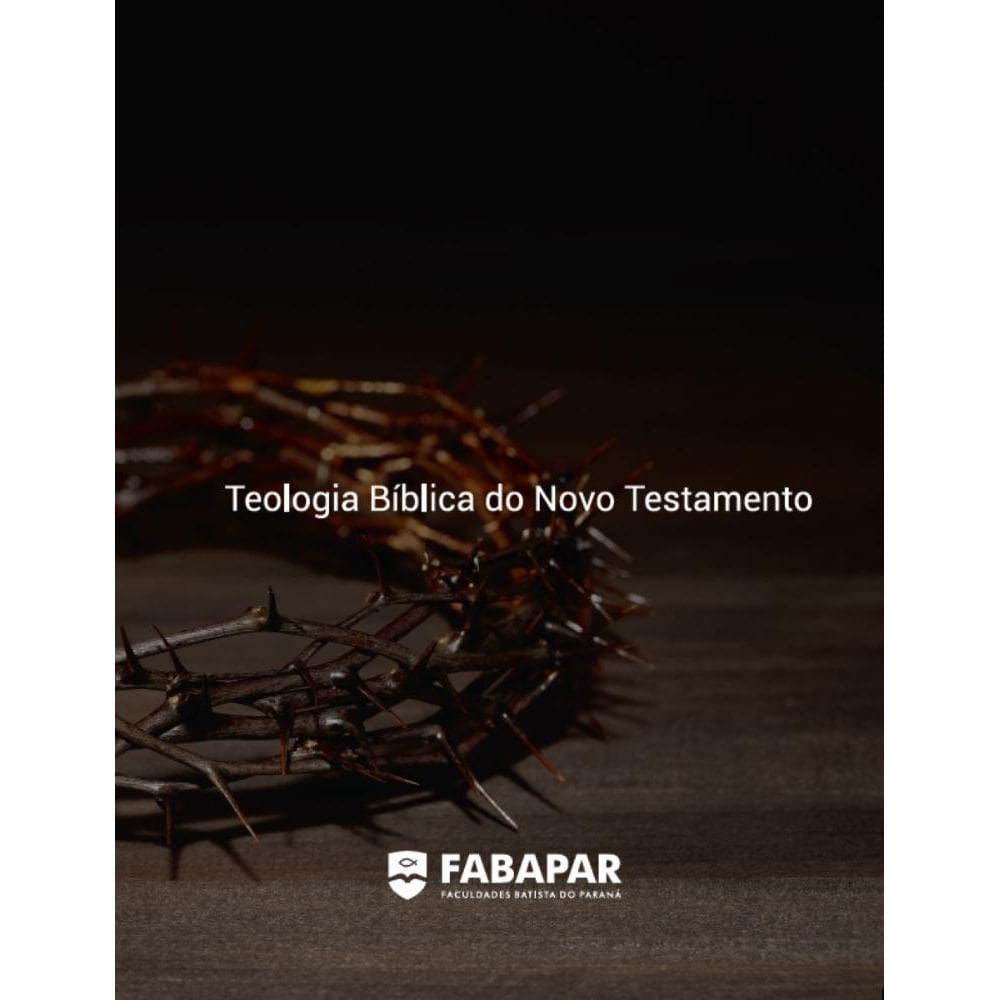 Teologia Bíblica do Novo Testamento | Fabapar