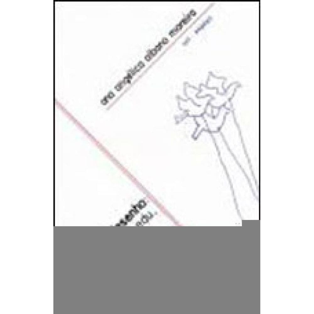 O Espaço Do Desenho