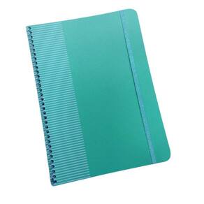 Caderno Universitário 1X1 80 Folhas Pautado Capa Verde