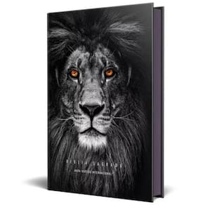 Biblia Sagrada Nvi Leao Preto Capadura Ebenezer Edifique Cpp
