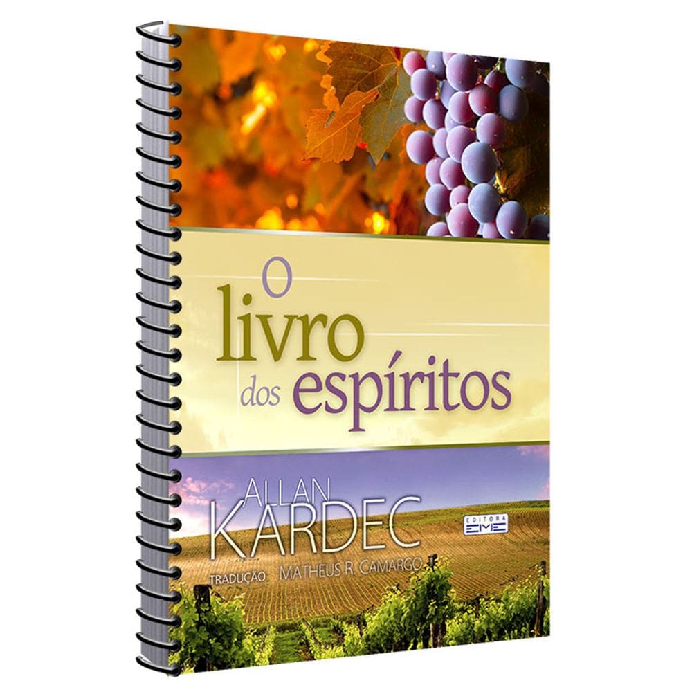 O Livro Dos Espíritos