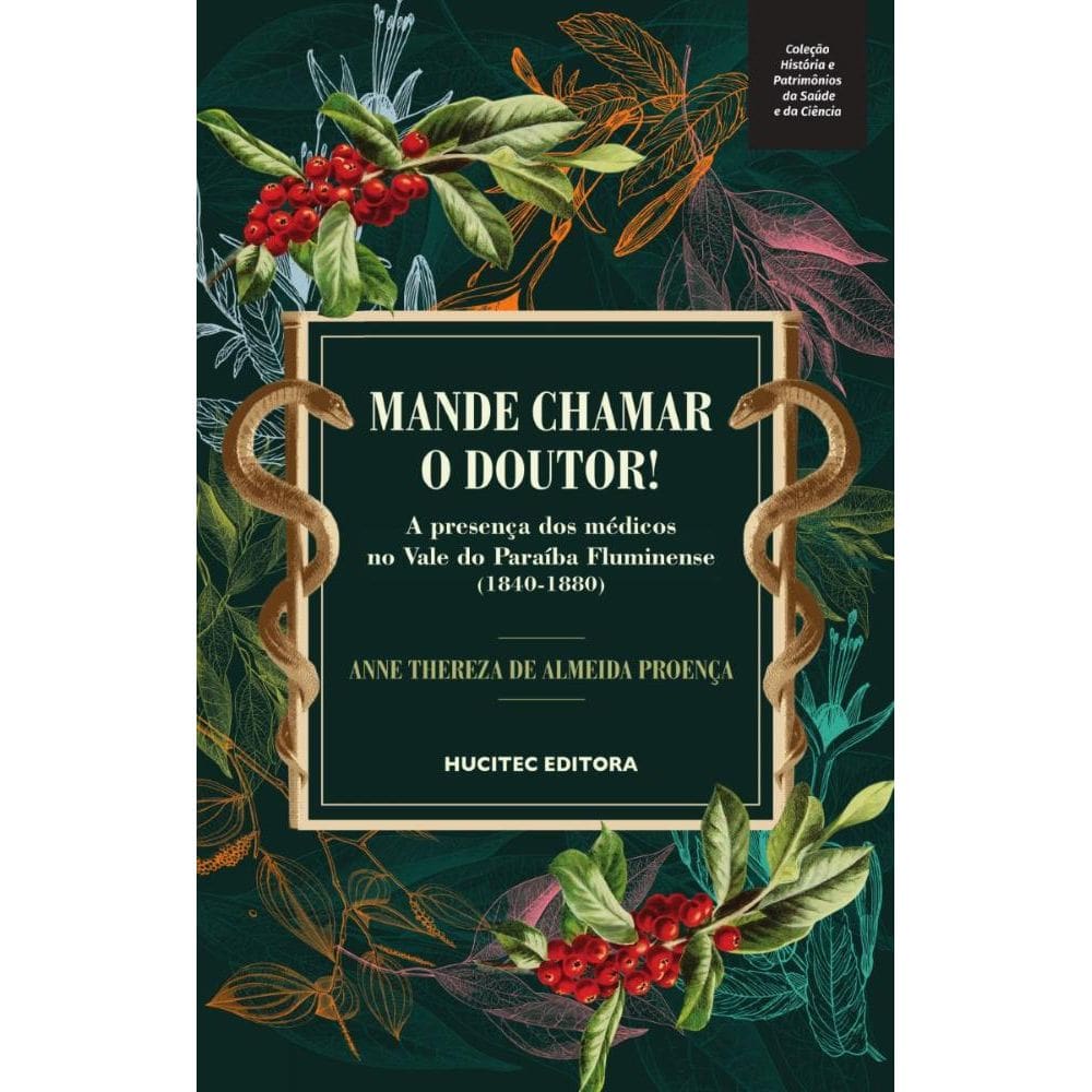 Mande chamar o doutor! : a presença dos médicos no Vale do Paraíba Fluminense (1840-1880)