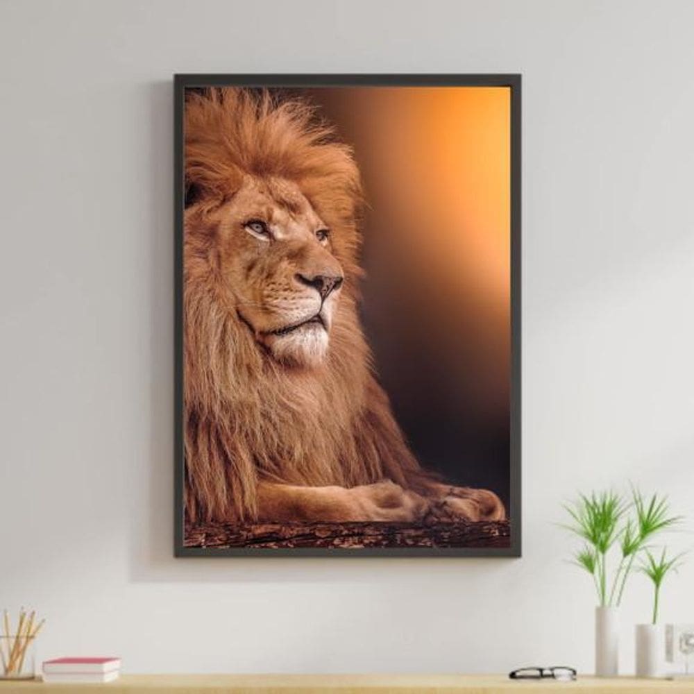 Quadro Leão Fotografia 45X34Cm Com Vidro Moldura Preta