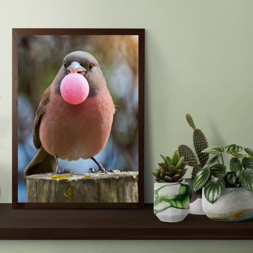 Quadro Passarinho Bubble Gum 33X24Cm