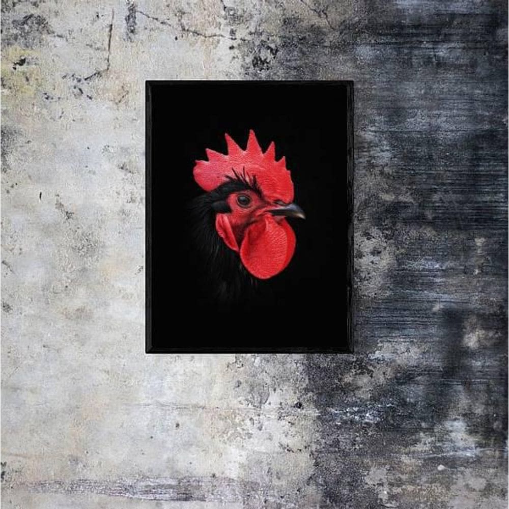 Quadro Fotografia Galo 24X18Cm 002