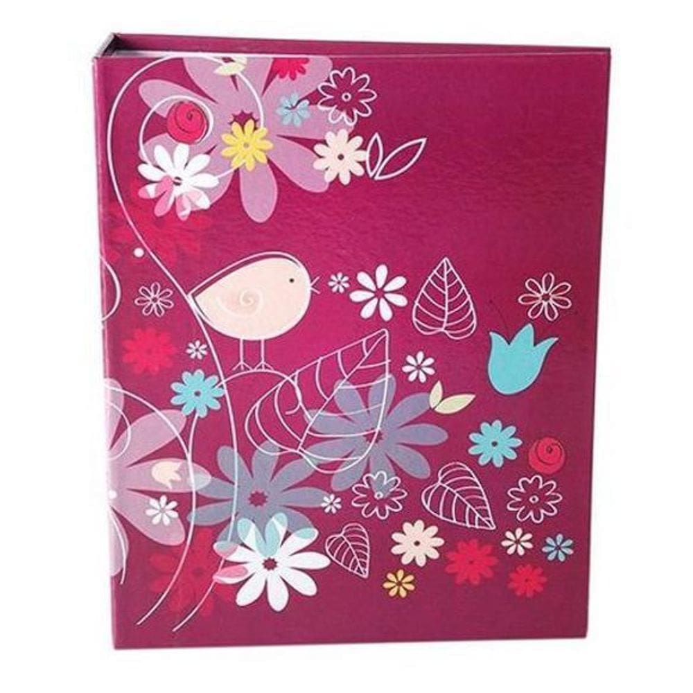 Álbum 120 Fotos 10X15 Paint Rec 100/09