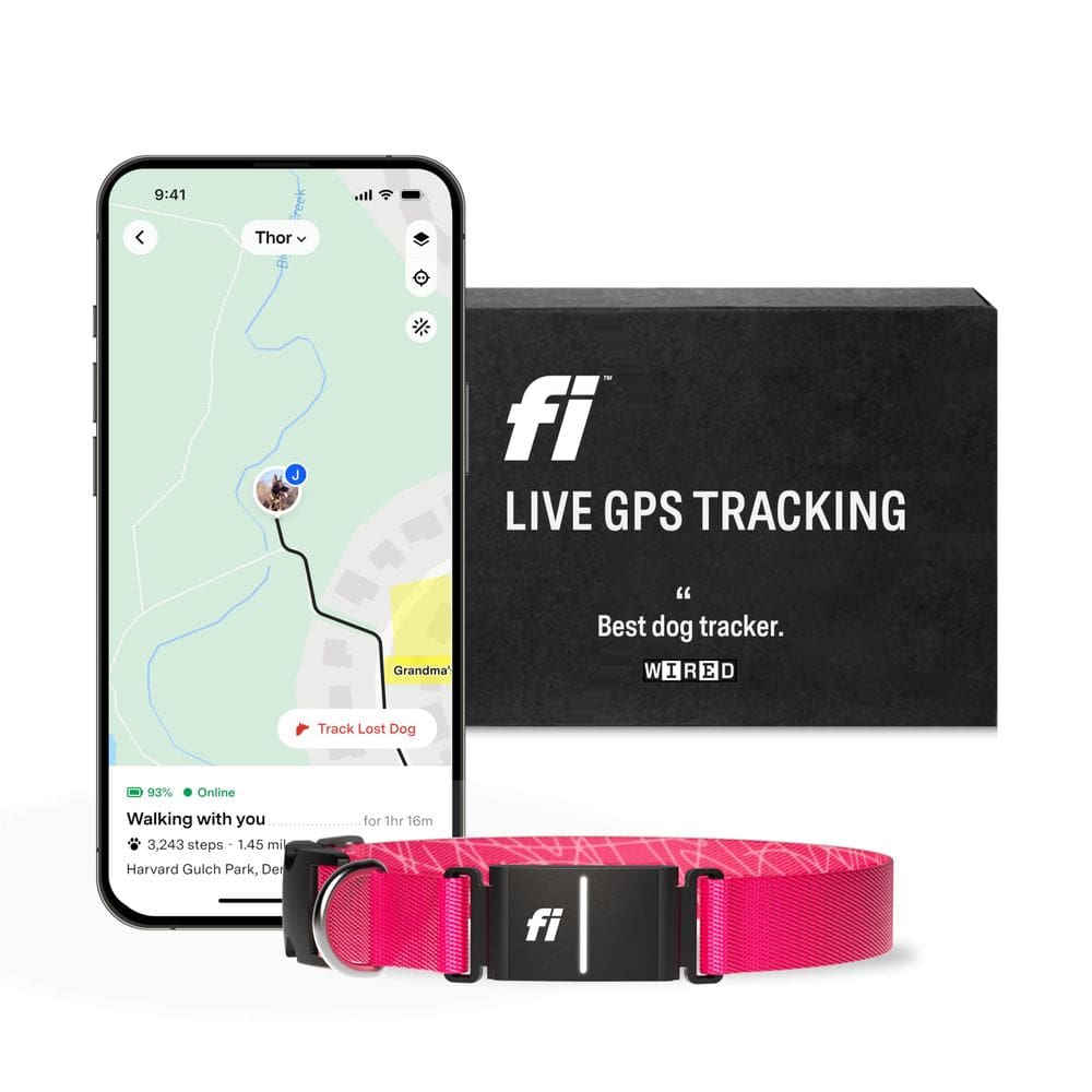 Coleira inteligente para cães Fi Series 3 GPS Tracker à prova d`água rosa