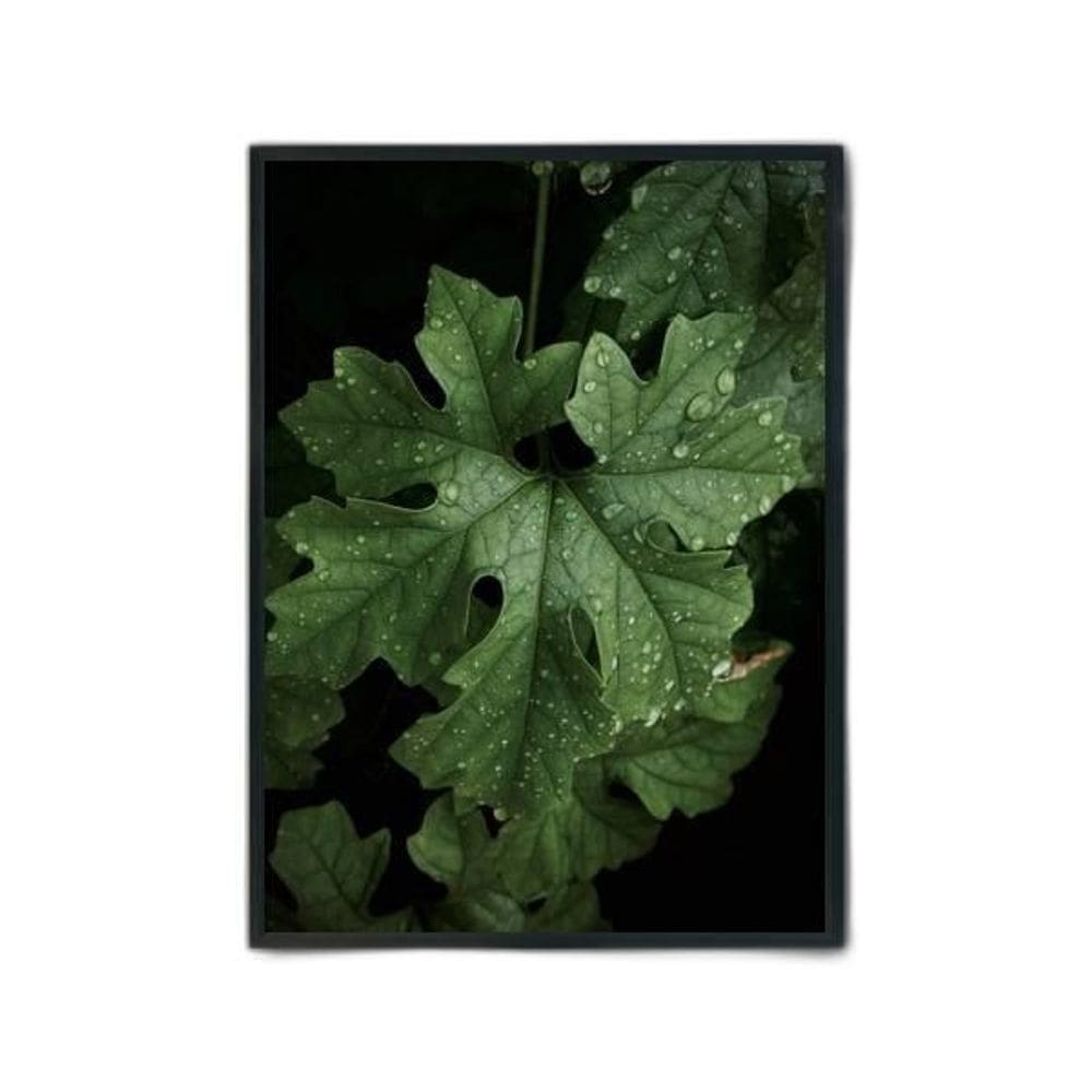 Quadro Fotografia Folhas 24X18Cm