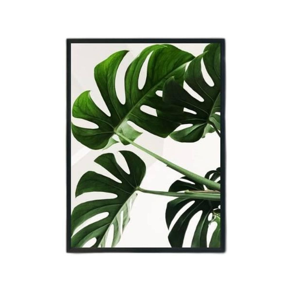 Quadro Fotografia Costela De Adão 33X24Cm - Moldura Preta